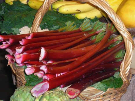 rhubarb-at-the-market